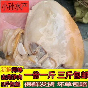 一份一斤清水河农家河蚌鲜活体蚌河蚌肉自然蚌肉去壳净肉包邮现杀