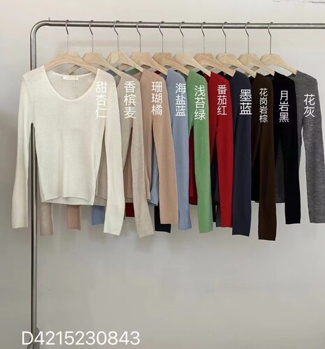 内搭春季实体店同款正品上衣圆领