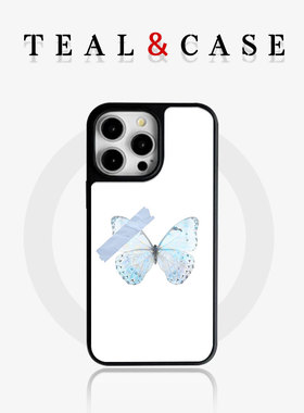 【TEAL】磨砂磁吸晶瓷手机壳复古风古早风千禧风巴洛克复古格纹条纹适用于苹果12iphone16promax15plus13pro