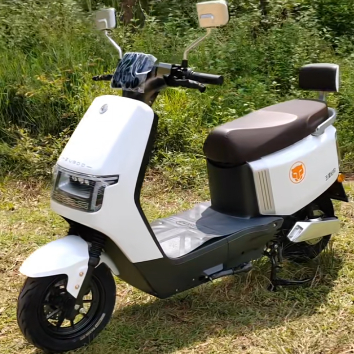 五星钻豹海鸥EB电动车外壳配件