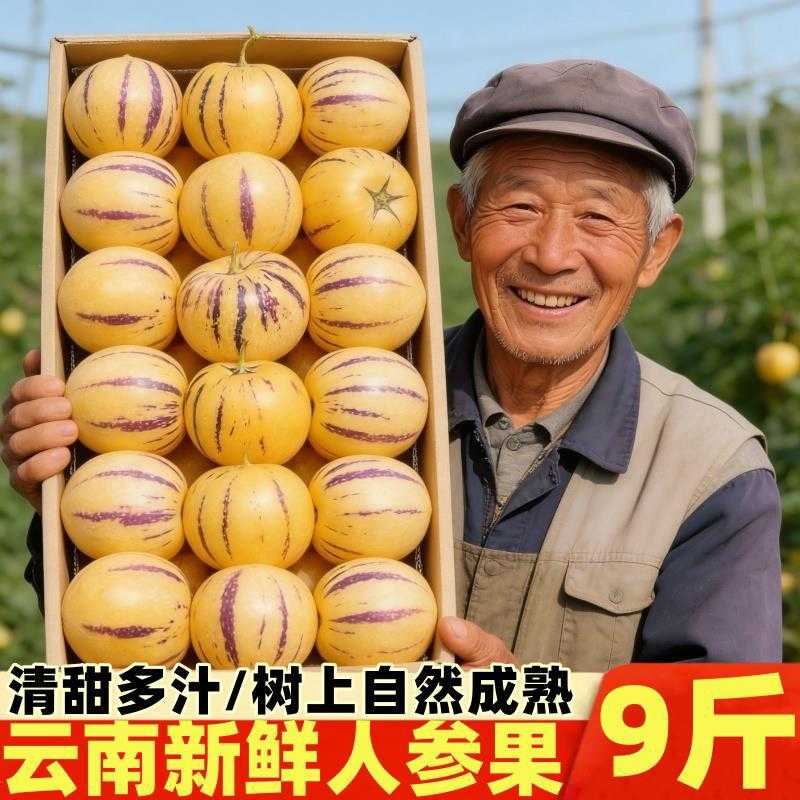 云南新鲜人参果9斤当季甜黄心圆果七彩人生果林孕妇水果
