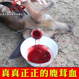 鹿胎膏鹿鞭膏男性滋补鹿血长白山特产 鹿鞭 鹿茸血酒 梅花鹿鹿茸