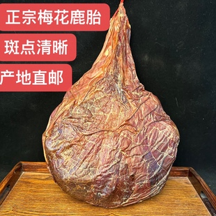 鹿胎整只干鹿胎鹿胎盘胎衣鹿胎膏原料梅花鹿鹿场直邮