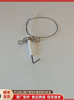 原装八喜燃气壁挂炉 MAIN5 BAIXI燃气采暖炉点火针 点火线 配件