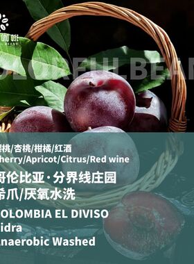 新产季哥伦比亚分界线庄园希爪sidra厌氧水洗手冲意式精品咖啡豆
