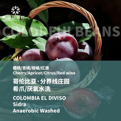 哥伦比亚Diviso希爪sidra咖啡豆