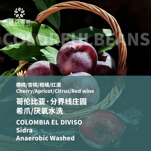 哥伦比亚Diviso希爪sidra咖啡豆