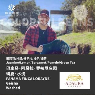 2025产季巴拿马阿黛拉罗拉尼庄园瑰夏传统水洗精品手冲意式咖啡豆