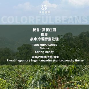26新产季秘鲁赏花庄园泉水冷发酵蜜处理瑰夏精品手冲意式咖啡豆