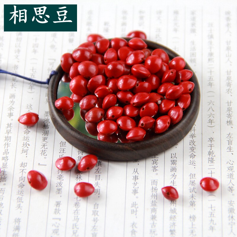 植物天然红色相思豆菩提子