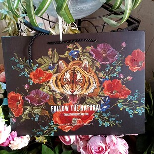 包装服装店礼品袋轻奢高颜值纸质手提袋红色礼物袋送礼物黑色袋子