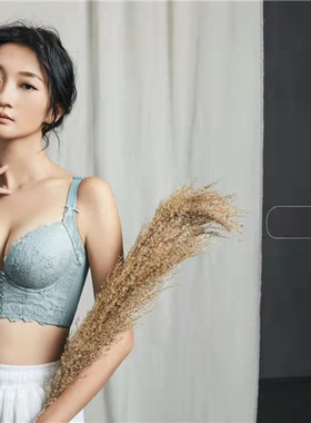 吉芝奴实体同款性感蕾丝五排扣调整型A/B中厚文胸正品S999