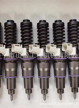 BEBE4C09102喷油器总成BEBE4C09101发动机共轨喷油嘴33800-84410