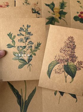 植物花卉草木手绘牛皮纸复古贺卡明信片硬卡手写生日艺术临摹卡片