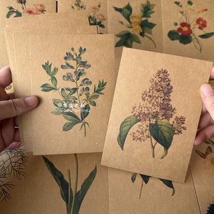 植物花卉草木手绘牛皮纸复古贺卡明信片硬卡手写生日艺术临摹卡片