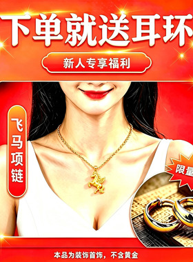 飞马项链百搭女神锁骨链