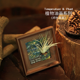 《烬色氤氲》室温原创油画空气凤梨艺术装饰懒人植物摆件生日礼物