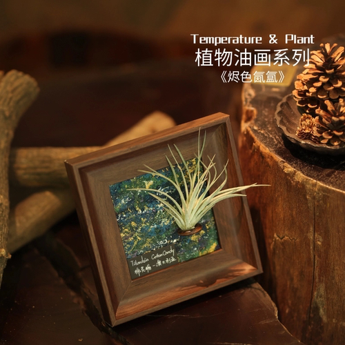 《烬色氤氲》室温原创油画空气凤梨艺术装饰懒人植物摆件生日礼物