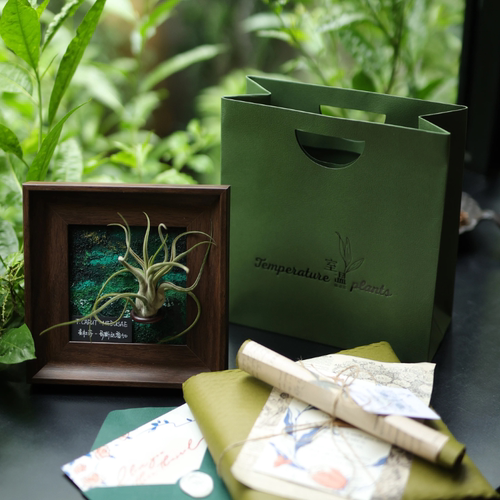礼品手提袋链接~随单发~勿单拍
