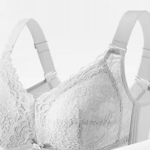 内衣女夏季 内衣调整型收副乳文胸2204 大胸显小无钢圈薄款