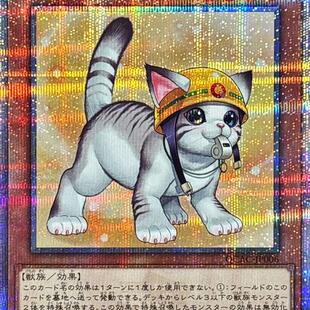广州童梦正版日文游戏王QCAC散卡救援猫QCSER