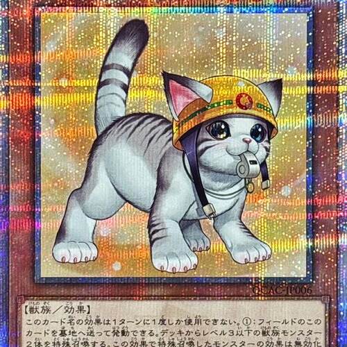 广州童梦正版日文游戏王QCAC散卡救援猫QCSER