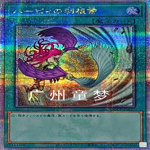 广州童梦正版英文日文简中游戏王QCAC鹰身女妖的羽毛扫SER现货