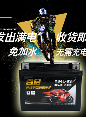 适用幼兽CUB 110 50 C125宗申Yami APE50摩托车电瓶蓄电池YT4L-BS