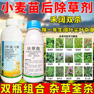 小麦苗后专用除草剂禾阔双除杂草克星节节麦野燕麦多花黑麦草农药