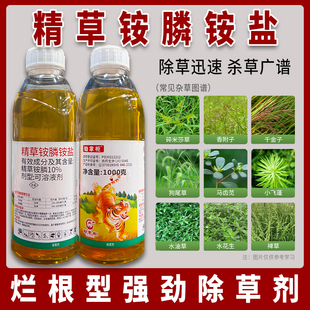 锄掌柜精草铵膦铵盐除草烂根剂果园荒地恶性杂草专用正品农药大全