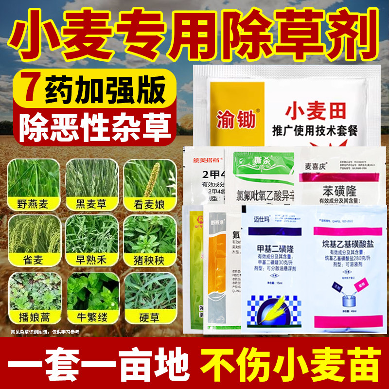 小麦除草剂春冬小麦田苗后专用除草剂甲基二磺隆乙酸苯磺隆批发药