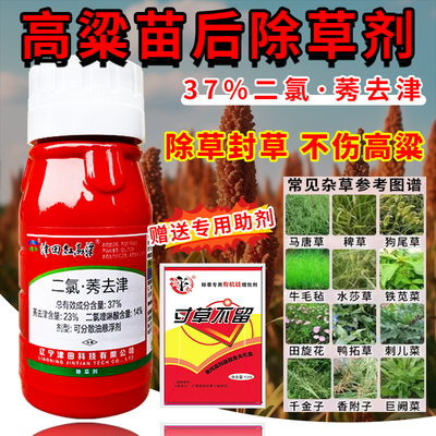 高粱地专用苗后除草封草剂不伤苗