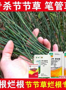 专杀节节草水花生克星除草烂根剂