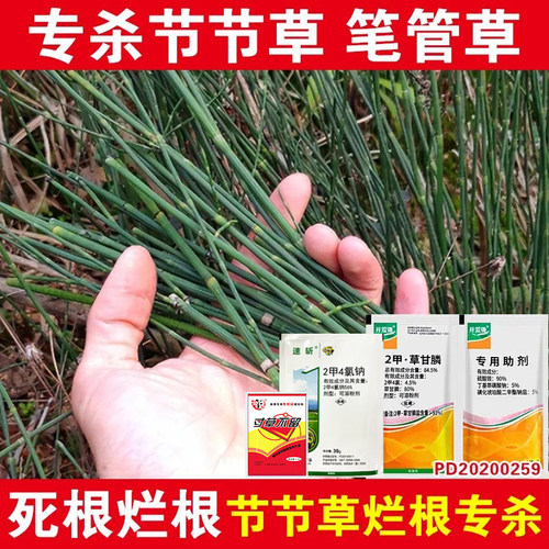 专杀节节草水花生克星除草烂根剂