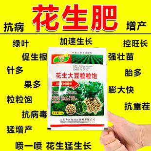 花生大豆高产肥料花生专用叶面肥抗重茬下针多开跟生力地下猛长药