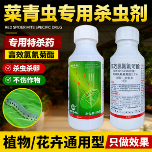 菜青虫杀虫剂高效氯氰菊酯蔬菜花卉家用除毛虫肉虫月季叶蜂专用药