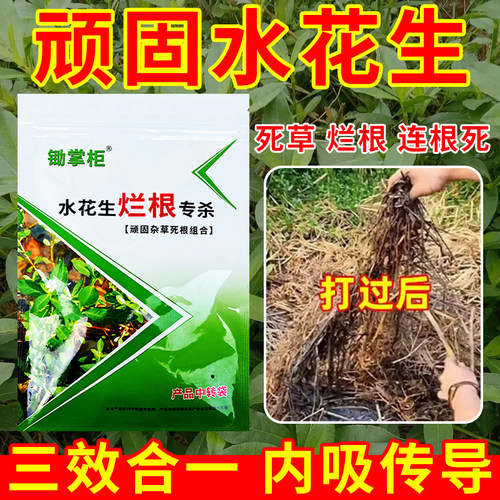 （好物推荐）水花生专杀烂根套装