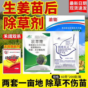 生姜除草剂姜田苗后除草专用剂敌草隆精喹禾灵大姜黄姜子姜杀草药