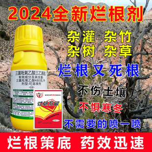 三氯吡氧乙酸除草烂根剂水花生灌木藤蔓灭竹杂草藤条爬山虎络石藤