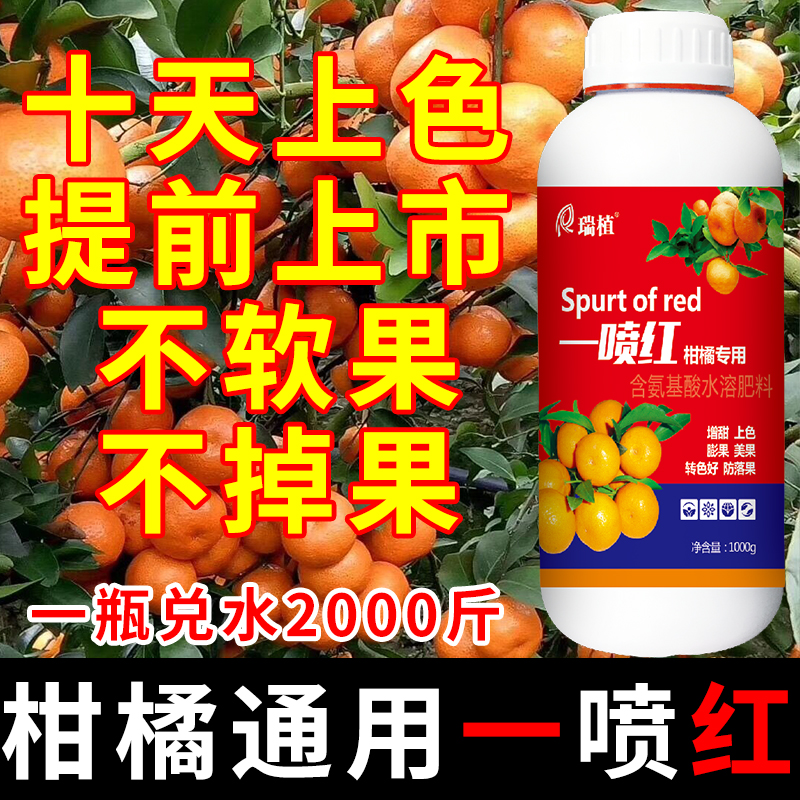 沙糖橘一喷红上色催红剂柑橘膨大砂糖橘不催熟着色增甜蜜素叶面肥