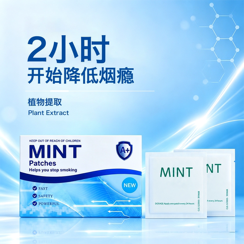 进口Mint戒烟贴戒烟神器