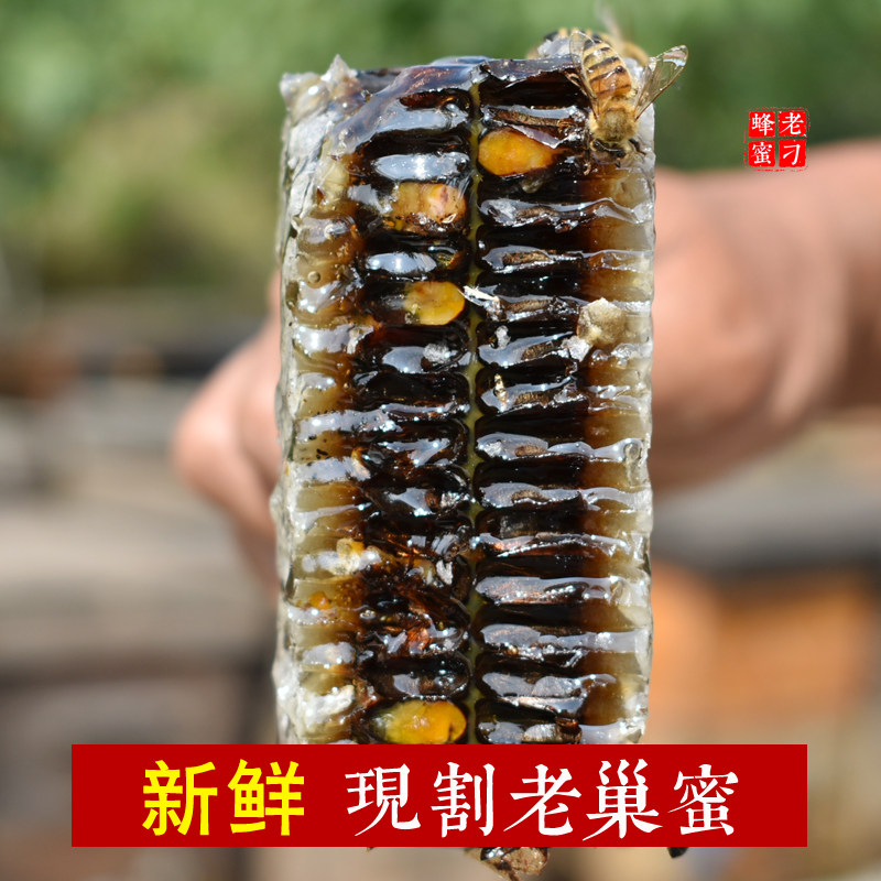 现割纯天然农家自产不添加新鲜蜜巢野生纯正盒装嚼着吃蜂巢蜜500g