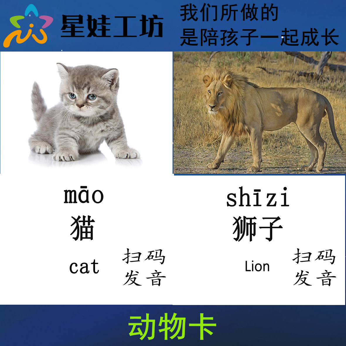动物自闭发育迟缓学习训练教具