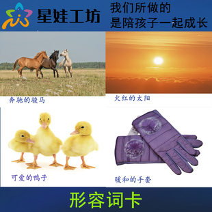 形容词幼儿园、早教、普教特教孤独、自闭症发育迟缓训练学习卡片