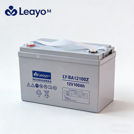 Leayo黎耀蓄电池LY-BA12100Z免维护铅酸12V100AH电池UPS电源专用