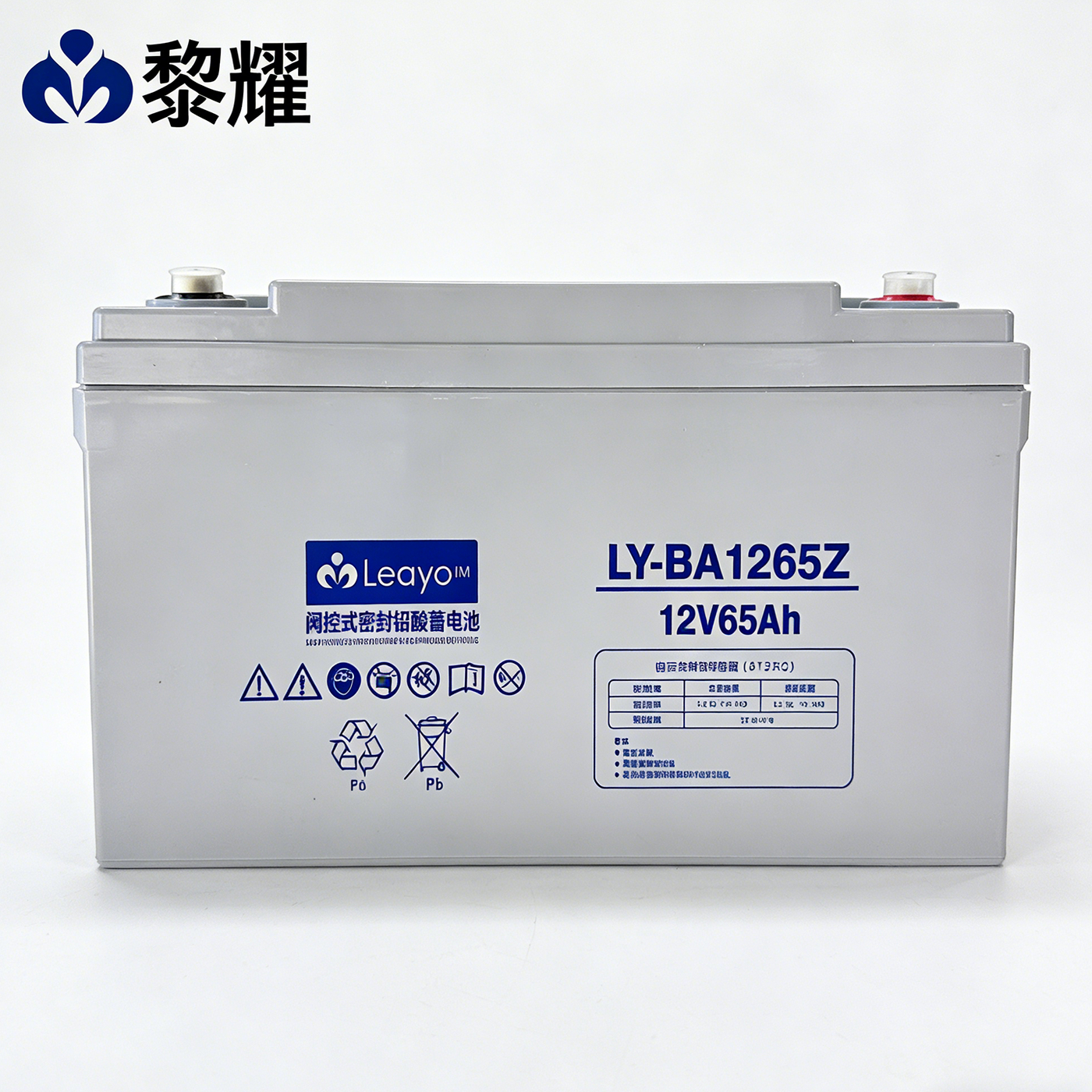 黎耀12V65AH免维护铅酸蓄电池