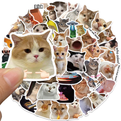 50张网红迷因猫咪表情包meme贴纸