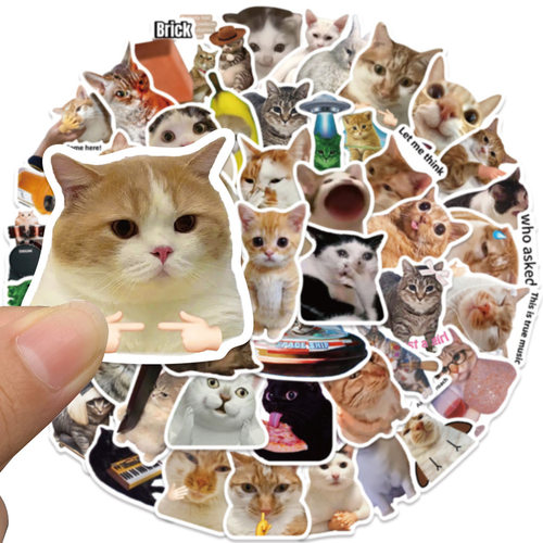 50张网红迷因猫咪表情包meme贴纸