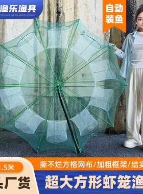 捕大鱼鱼笼折叠鱼网只进不出渔网黄鳝泥鳅虾笼龙虾网笼螃蟹捕鱼笼