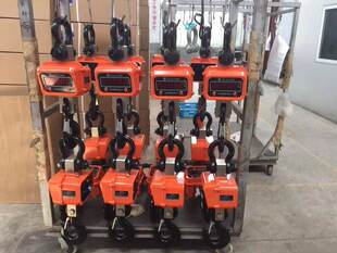 上海东南顿科双鹰直视电子吊钩秤行车秤屠宰场挂钩称OCS-3/5T/吨